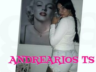 ANDREARIOS_TS