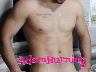 AdamBurning