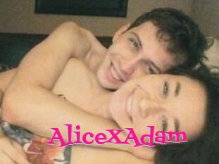 Alice_X_Adam