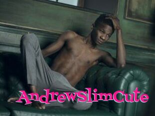 AndrewSlimCute