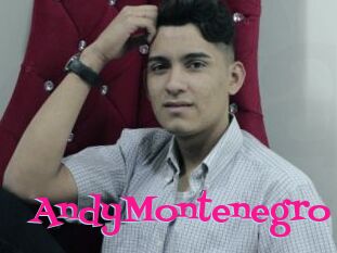 AndyMontenegro