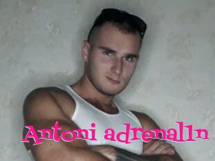 Antoni_adrenal1n