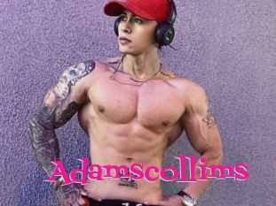 Adamscollims