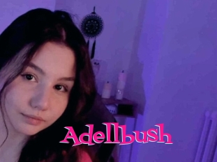 Adellbush