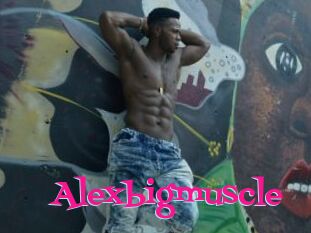 Alexbigmuscle