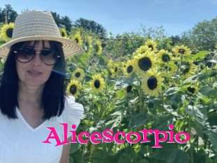 Alicescorpio