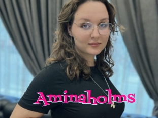 Aminaholms