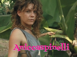 Aniccaspinelli