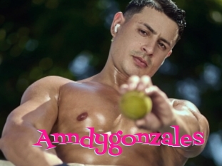 Anndygonzales
