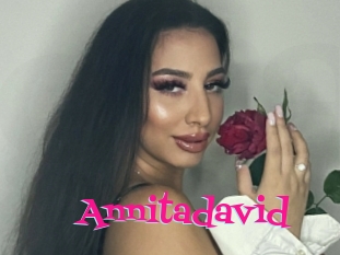 Annitadavid