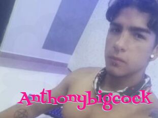 Anthonybigcock