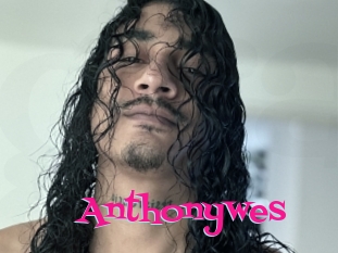 Anthonywes