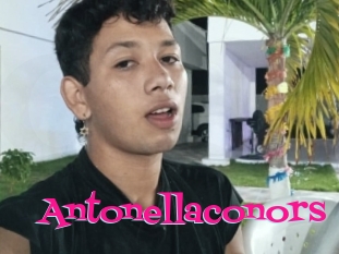 Antonellaconors