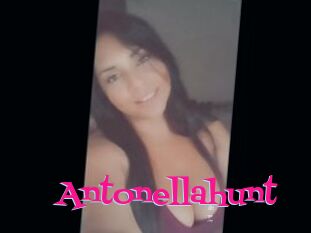 Antonellahunt