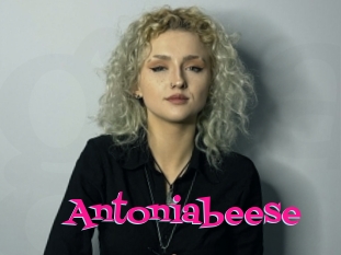 Antoniabeese