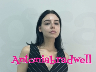 Antoniabradwell