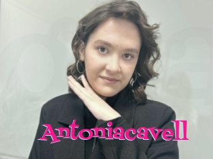 Antoniacavell