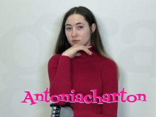 Antoniacharton