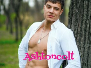 Ashtoncolt