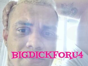 BIGDICKFORU4