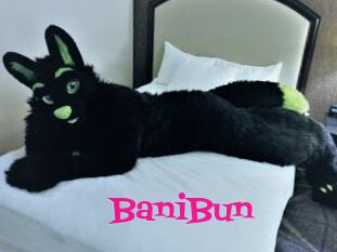 BaniBun