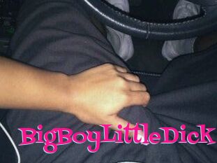 BigBoyLittleDick