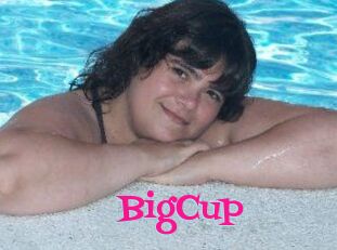 BigCup