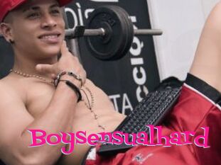 Boysensualhard