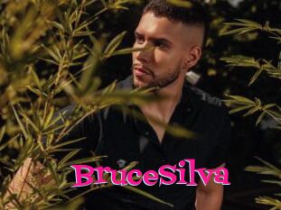 BruceSilva