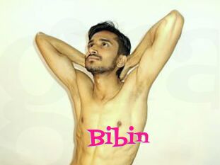 Bibin