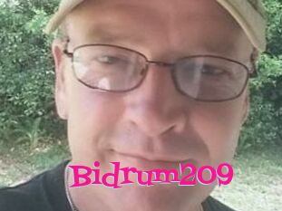 Bidrum209