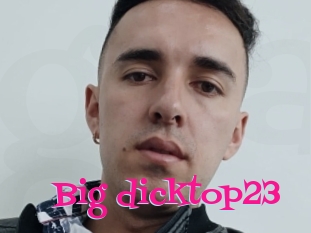 Big_dicktop23