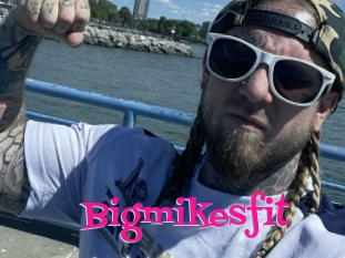 Bigmikesfit