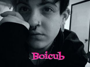 Boicub