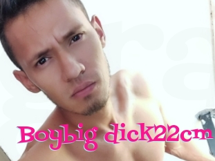 Boybig_dick22cm