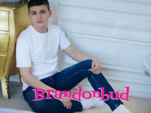 Brandonbud