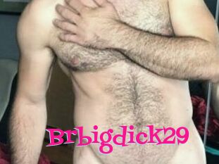 Brbigdick29