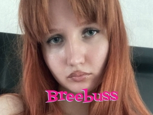 Breebuss