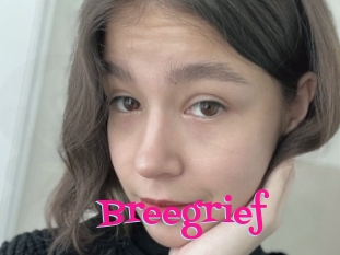 Breegrief