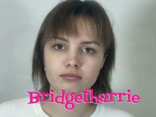 Bridgetharrie