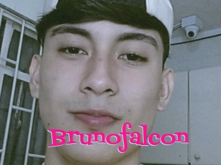 Brunofalcon