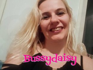 Bussydaisy