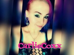 CarlieCoxx