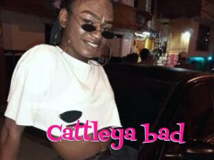 Cattleya_bad