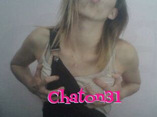 Chaton31