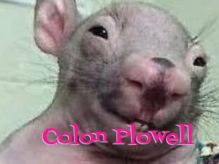 Colon_Plowell