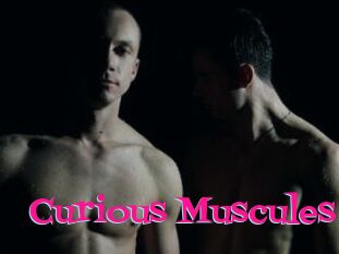 Curious_Muscules