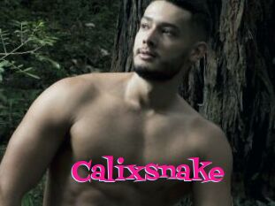 Calixsnake