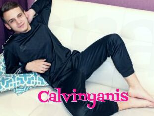 Calvinyanis