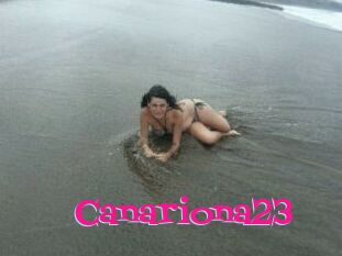 Canariona23